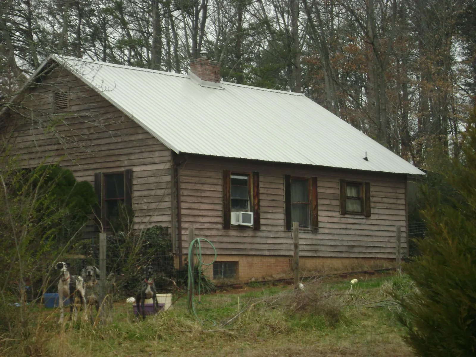 White metal roof on an old wood sided farmhouse, from a Asphalt Shingle Roof Repair job in Panora